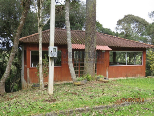 Imagem 14 de 15 de Chacara - Campina - Ref: 2046 - V-2046