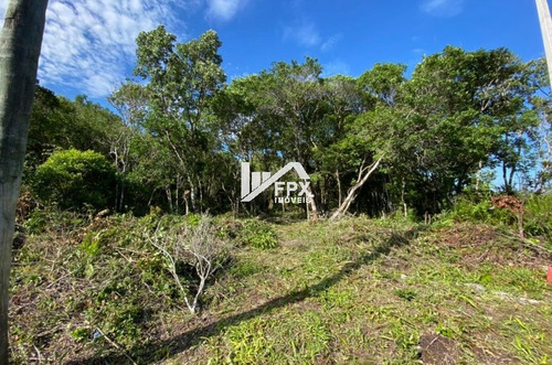 Imagem 4 de 6 de Terreno Na Estância Santa Cruz Em Itanhaém, Litoral Sul