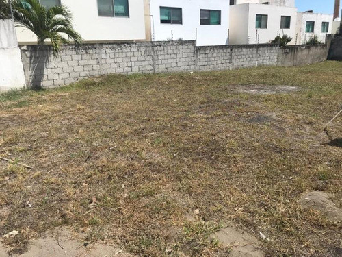 Imagen 6 de 12 de Terreno En Venta Fracc. Lomas Residencial