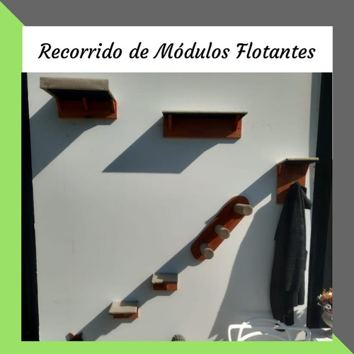 Gimnasio Flotante Para Gatos