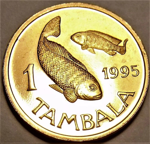Moneda - Africa -malawi - 1 Tambala - 1995 - S/c - Tesoros