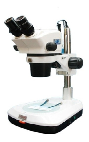 Imagen 1 de 2 de Lupa Binocular Estereoscopica  Modelo Xtd 217 A