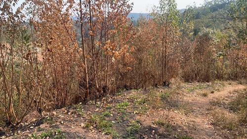 Imagem 3 de 14 de 34ei Terreno Igaratá Com Entrada Apenas De $ 5 Mil
