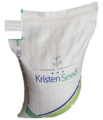 Semilla De Cilantro Marroquí Entero Saco 10 Kg