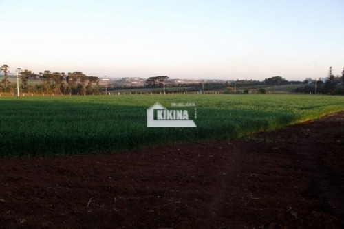Chácara Para Venda - 12604