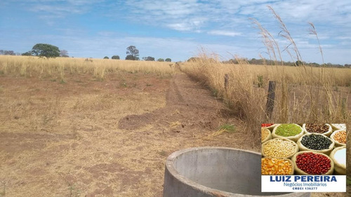 Fazenda À Venda Em Gurupi - To - De 20 Alqueirões (pecuária) - 1494
