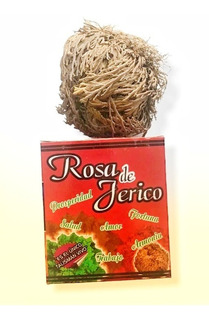 Rosa De Jerico Amuleto | MercadoLibre 📦