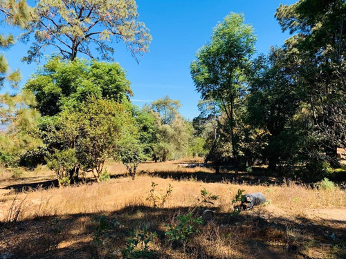Imagen 4 de 5 de Terreno En Venta