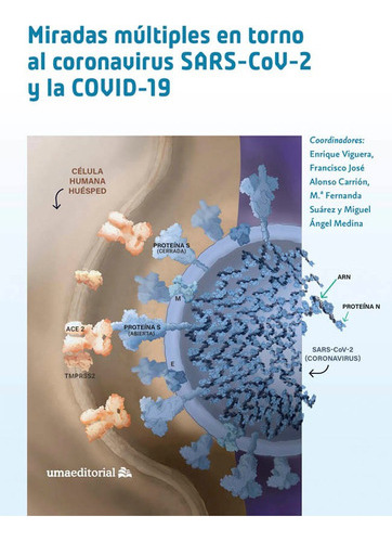 Miradas Múltiples Torno Coronavirus Sars Covid-19 -   - * 