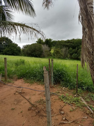 Imagem 7 de 14 de Sitio 2,5 Alqueire Na Br 153 Entre Getulina E Guaimbe