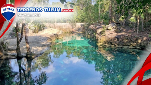 Cenote Con 17.5 Hectareas Con Frente De Carretera