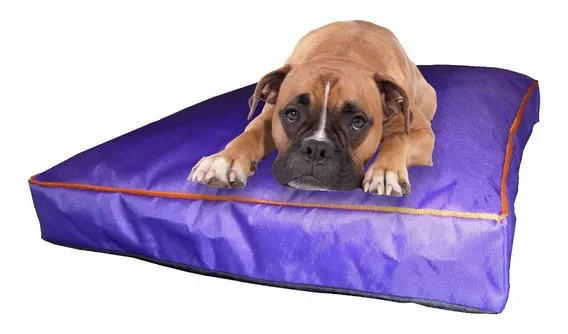 Colchon Liso Antidesgarro 70x55x8 Cm Cama Para Perros N°2