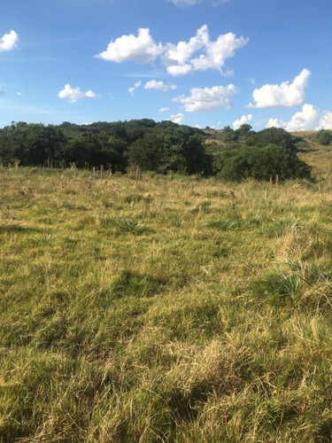 Imagen 3 de 15 de Campo Ganadero 232 Hectáreas (90 Hectáreas Son De Soja) .ruta 9