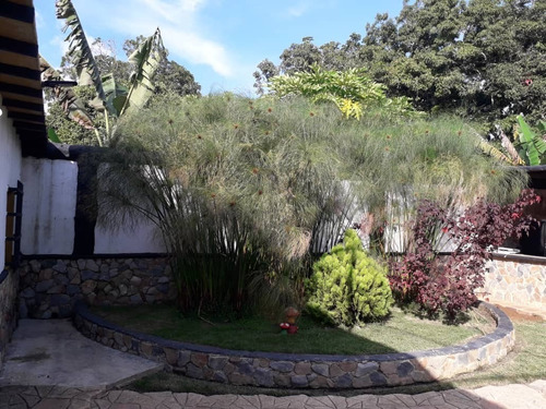 Imagen 22 de 30 de Finca En Bejuma Reyes Arriba