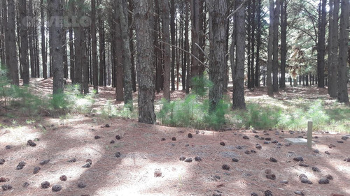 Terreno, Barrio Cerrado, Playa, Seguridad, Puerto