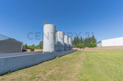 Imagen 11 de 30 de Venta - Galpon - Planta Industrial - Zarate
