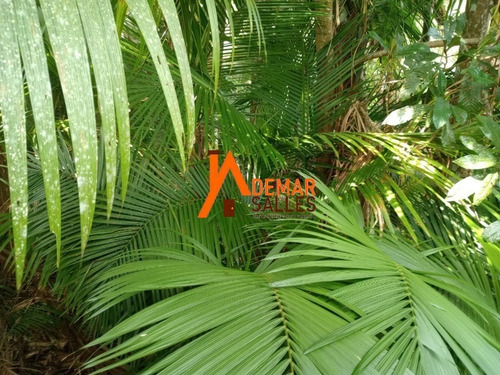 Imagem 26 de 30 de Chacara - Ch00120 - 70787182