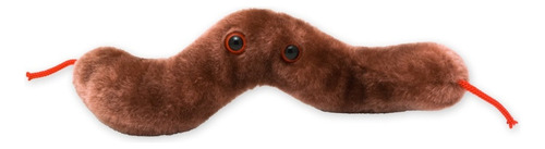 Peluche Campylobacter Jejuni Diarrea Giant Microbes