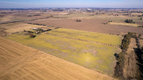 Campo En Venta 25ha En San Andres De Giles