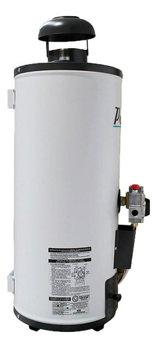 Calentador Paso Primo Iusa 8 Lts Gas Lp