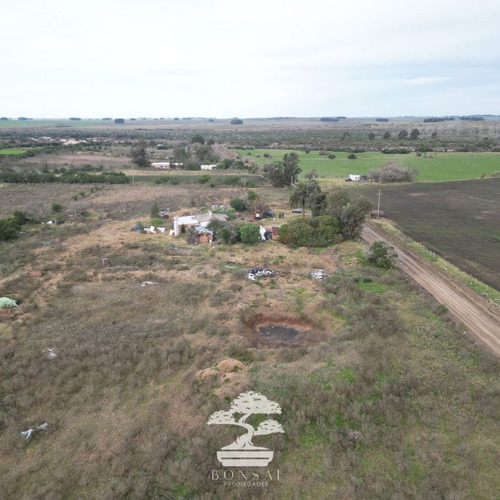 - Venta Chacra Con Casa La Macana Florida Mp.