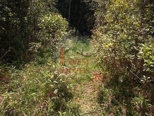 Imagem 4 de 7 de Terreno - Ref: 2985 - V-2985