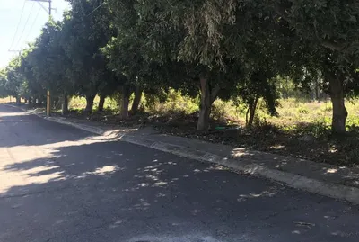 Terreno en venta