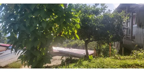Se Vende Finca En Cordoba - Quindío
