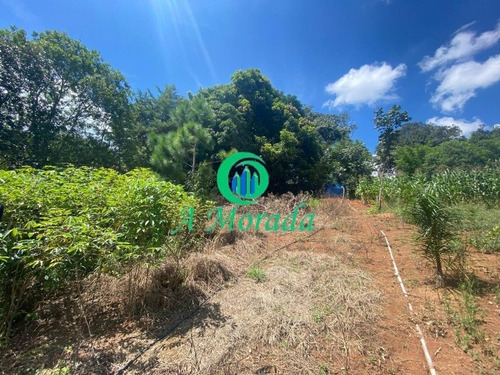 Imagem 14 de 17 de Linda Chácara Em Pinhalzinho - Ch00019 - 69558662