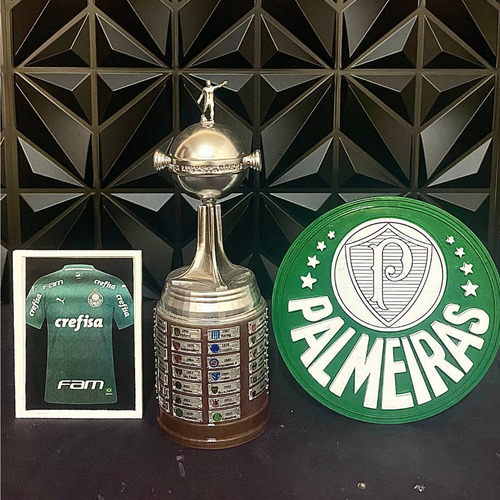 Miniatura Taça Libertadores Da América+mascote+quadro