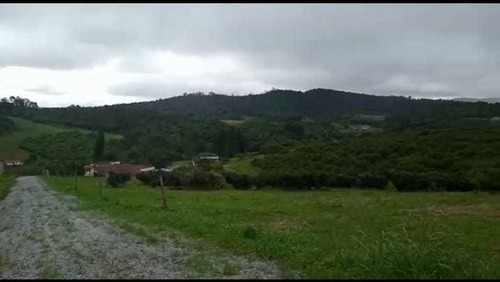 Imagem 7 de 14 de B77- Lotes De 1000 Mtr2 Em Mogi Das Cruzes