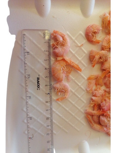 Camarón Seco Sin Cabeza 6 Kg De Excelente Calidad Y Sabor