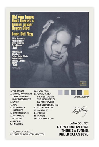 Póster Lana Del Rey Did You Know That Music Album Cover Firm