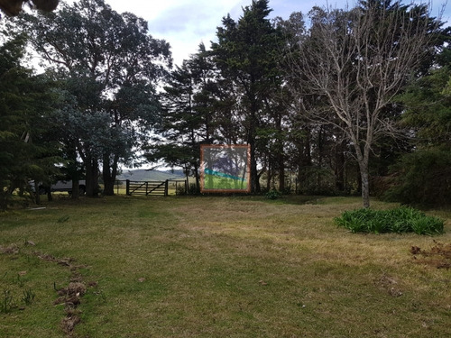 Campo Pueblo Edén 42.5 Hectáreas Con Casa