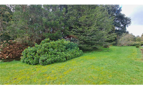 Hermosa Parcela Con Estero En Puerto Varas