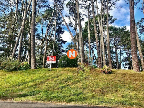 Imagen 12 de 12 de Venta De Terreno En Cantegril Punta Del Este - Punta Del Este Cantegril