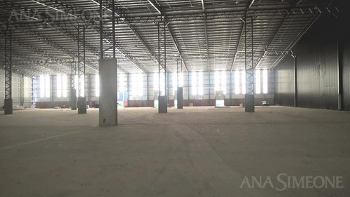Imagen 8 de 8 de Excelente Nave Aaa De 11.500 M2 A Estrenar