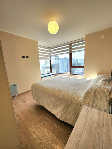 Depto Amoblado Con Terraza Y Vista Norte, Centro Lynch Ii