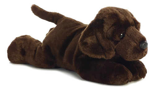 Aurora 12  Ll 12 Inches - Max Chocolate Lab12 Pulgadas Nvd3