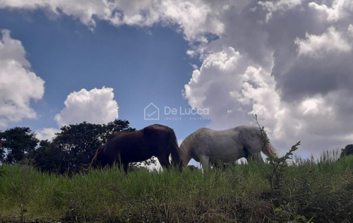 Imagem 25 de 28 de Chácara À Venda Em Chácaras Alpina - Ch009247