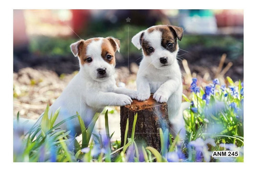 Papel De Parede Animais Filhotes Cachorro 3d 4m² Anm245