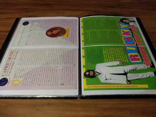 Ricky Martin * Carpeta Recortes Revistas Clippings (Usado)