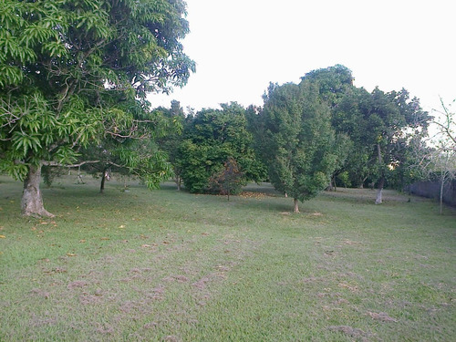 Imagem 13 de 30 de Chácara Com 4 Dormitórios À Venda, 8000 M² Por R$ 1.200.000,00 - Ipiranga - Elias Fausto/sp - Ch0025