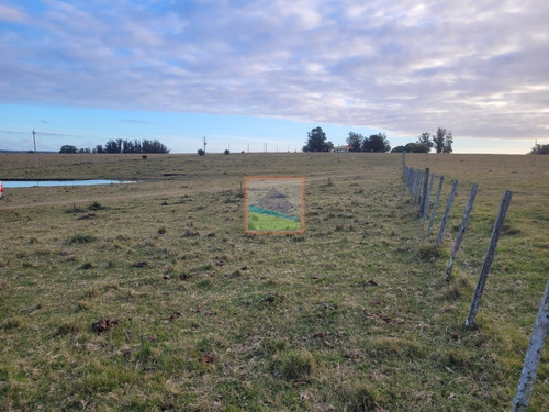 Imagen 22 de 26 de Campo De 34 Hás Con Casa Ruta 12 Pueblo Edén
