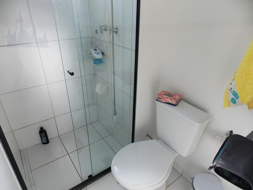 Imagem 9 de 10 de Apartamento Para Venda, 2 Dormitórios, Jardim Previdência - São Paulo - 11038
