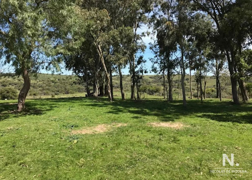 Imagen 18 de 28 de Se Vende Campo De 130 Has, En Maldonado