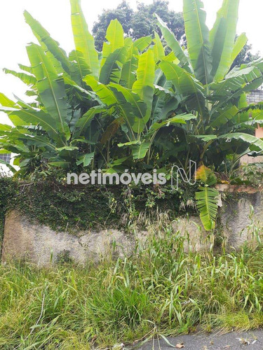 Imagem 4 de 16 de Venda Lote-área-terreno Dom Bosco Belo Horizonte - 903633