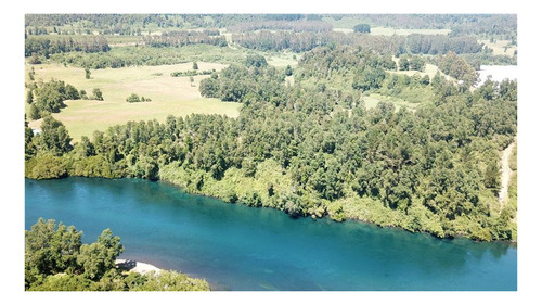 Imagen 5 de 16 de Agrícola En Venta En Lago Ranco