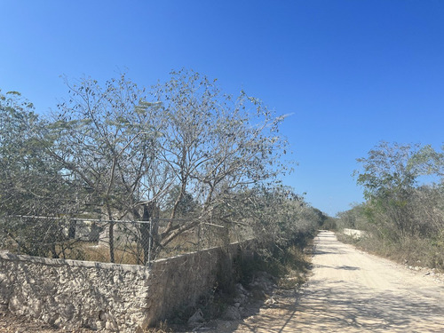 Terreno En Renta Cerca Carretera Progreso