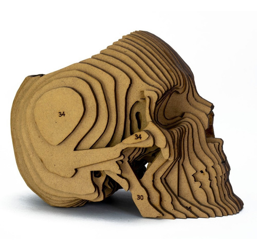 Figura 3d En Madera, Calavera Portaobjetos